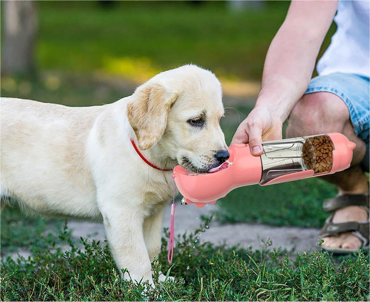 Pet Water Bottle