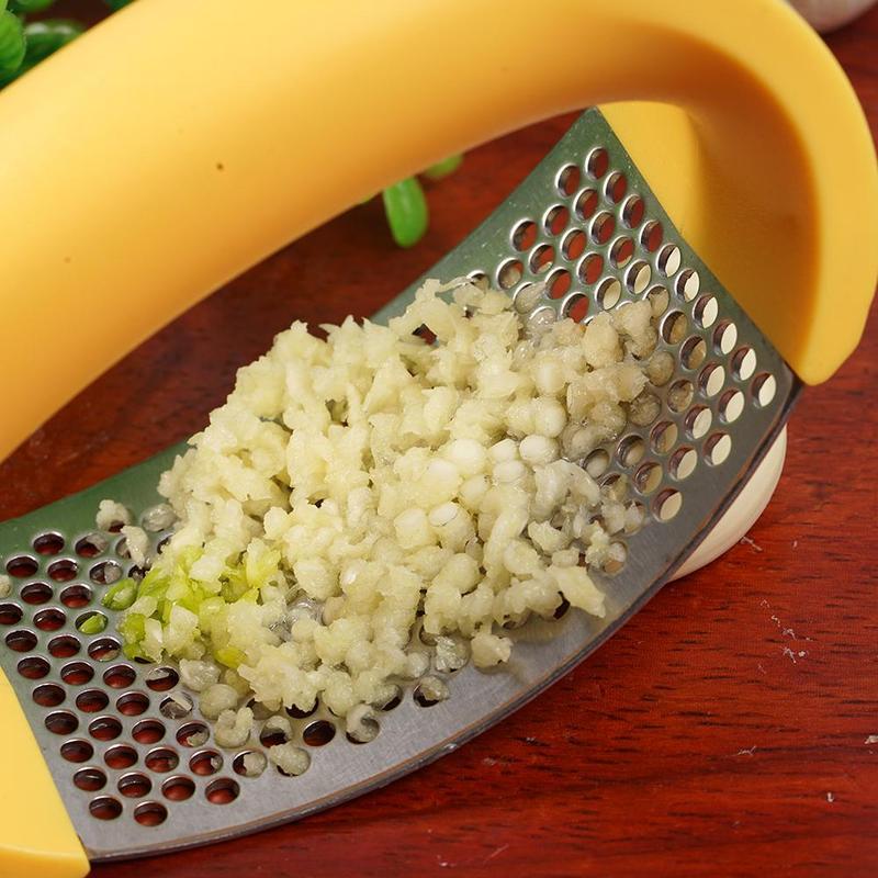 Stainless Steel Garlic Press