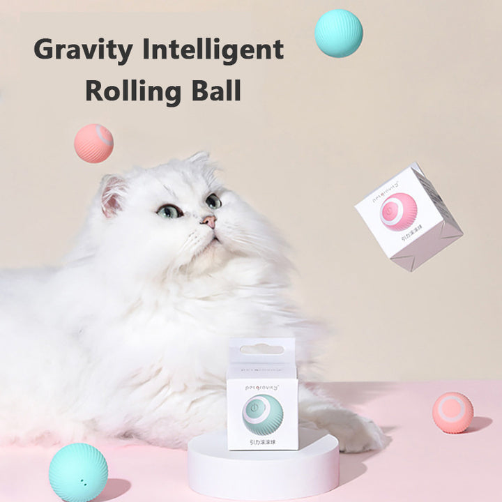 Gravity Intelligent Rolling Ball Toy