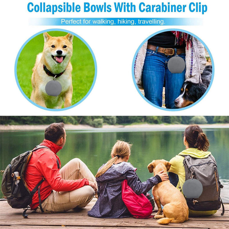 Foldable Double Pet Bowl